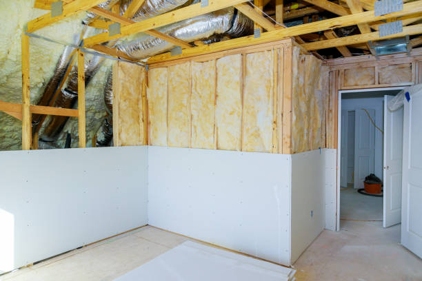 Best Insulation Maintenance and Repair in Vernon Hls, IL