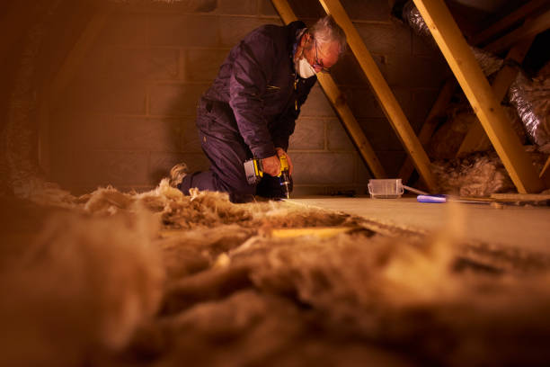 Best Eco-Friendly Insulation in Vernon Hls, IL